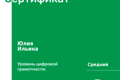 ilina-1