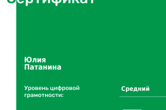 patanina-1